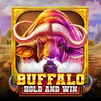 Buffalo Hold and Win
